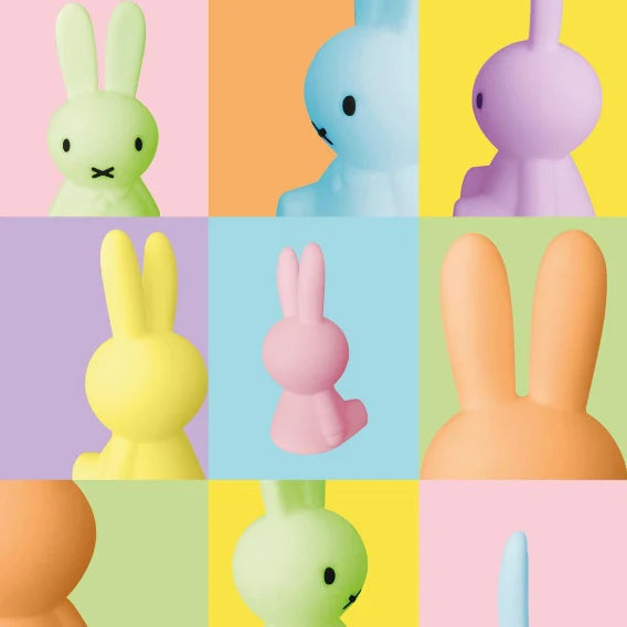 Miffy: Bundle of Light - Colourful Surprise Collection