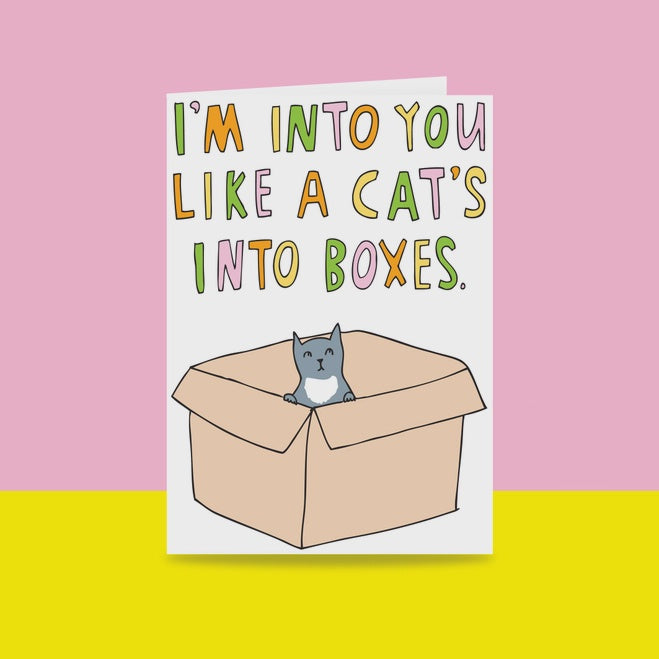 Able & Game: Greeting Card - I'm Into You Like A Cat's Into Boxes