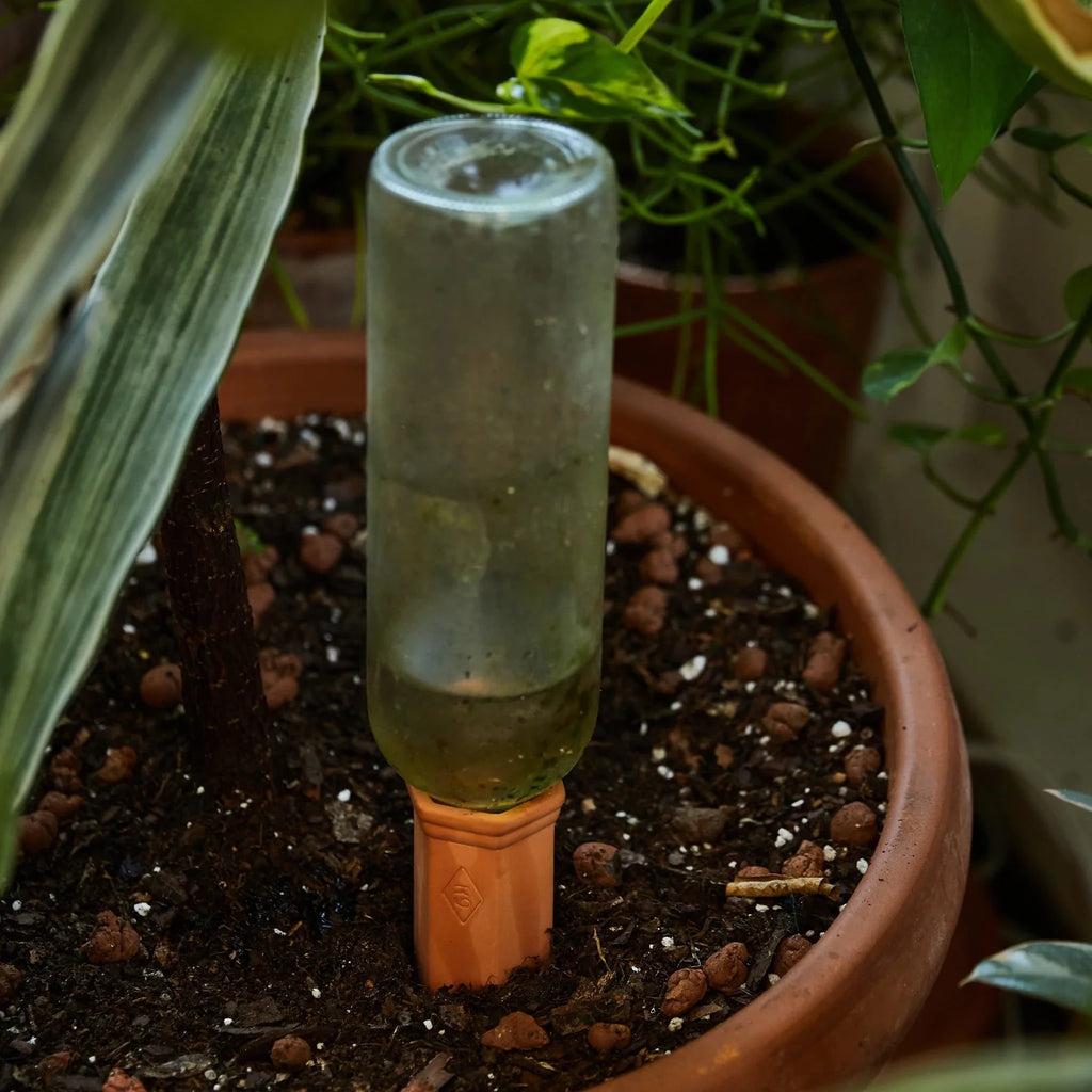 Gentlemen's Hardware: Plant Water Drippers (set of 2)